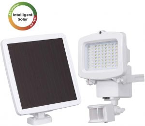 Westinghouse Solar Lights