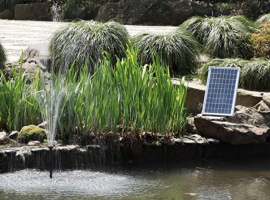 best solar pond pump